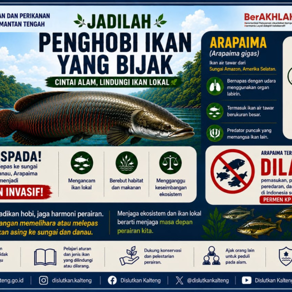 Gambar Arapaima (Arapaima gigas)
