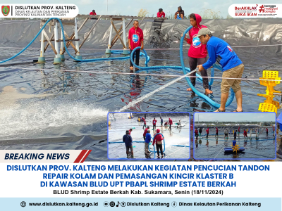 Pencucian Tandon Repair Kolam dan Pemasangan Kincir Klaster B di Kawasan BLUD UPT PBAPL Shrimp Estate Berkah Kab. Sukamara