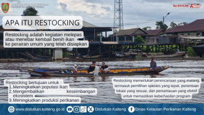 Apa Itu Restocking?