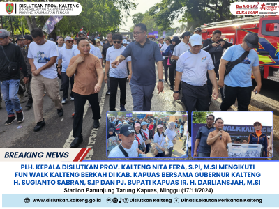 Plh. Kepala Dislutkan Prov. Kalteng Nita Fera, S.Pi, M.Si Mengikuti   Fun Walk Kalteng Berkah di Kab. Kapuas