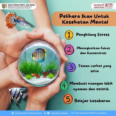 Tahukah kamu? Menatap ikan yang berenang bisa meredakan stres, menenangkan pikiran, dan bahkan menurunkan tekanan darah. Selain itu, suara gemericik air dari akuarium menciptakan suasana damai yang mendukung relaksasi.