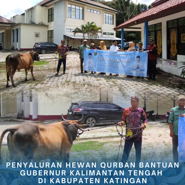 Gambar Penyaluran Hewan Qurban Bantuan Gubernur Kalimantan Tengah di Kabupaten Katingan