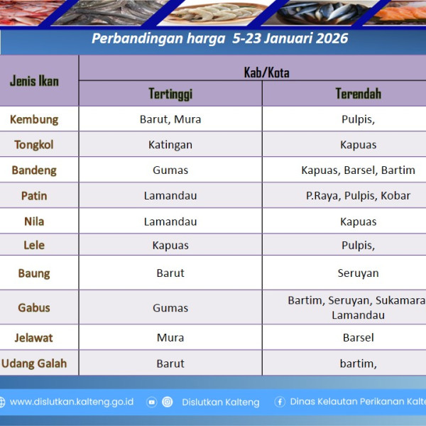 Gambar Informasi harga ikan dari tanggal 5-23 Januari 2026