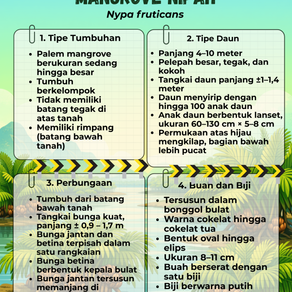 Gambar Yuk kenali Mangrove Nipah