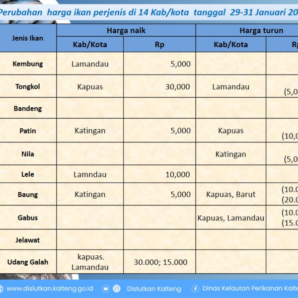 Gambar Info harga ikan dari tanggal 29-31 Januari 2026