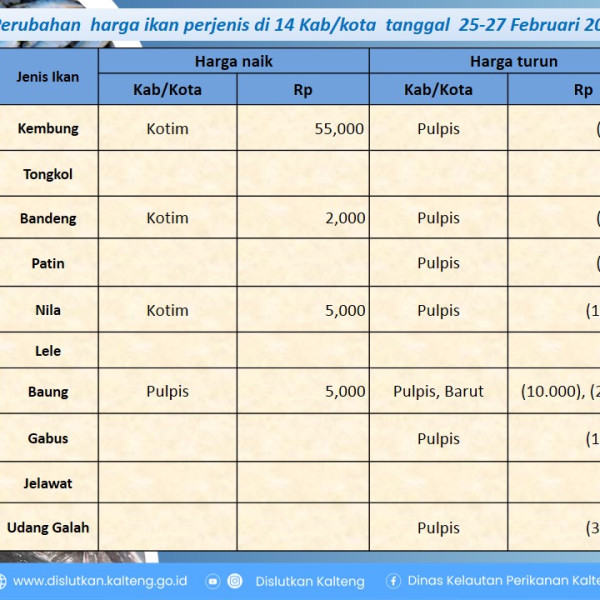 Gambar Informasi harga ikan dari tanggal 25-27 Pebruari 2026