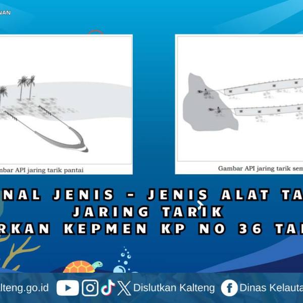 Gambar Jenis jenis Alat Tangkap Jaring Tarik