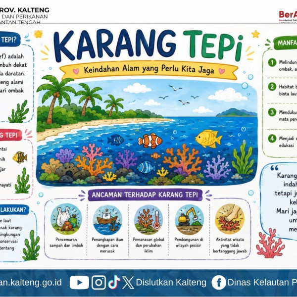 Gambar Terumbu karang tepi atau fringing reef