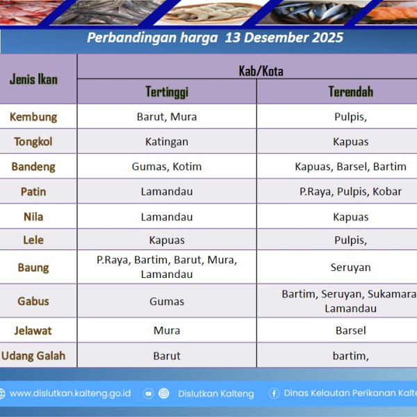 Gambar Info harga ikan tanggal 13 Desember 2025