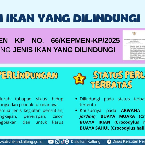 Gambar Jenis merupakan ikan yang dilindungi dan wajib kita jaga keberadaannya