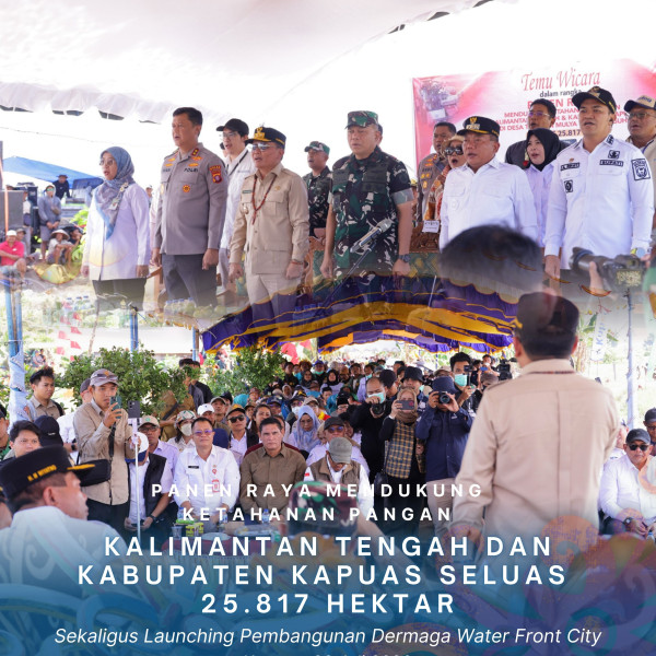 Gambar Panen Raya Mendukung Ketahanan Pangan Kalimantan Tengah Dan Kabupaten Kapuas Seluas 25.817 Hektar Sekaligus Launching Pembangunan Dermaga Water Front City