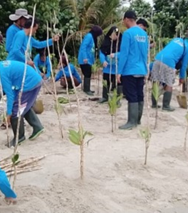 Gambar Pemprov Kalteng Dorong Kelestarian Ekosistem Pesisir, Warga Sungai Bundung Sukamara Ikuti Pelatihan dan Penanaman Mangrove