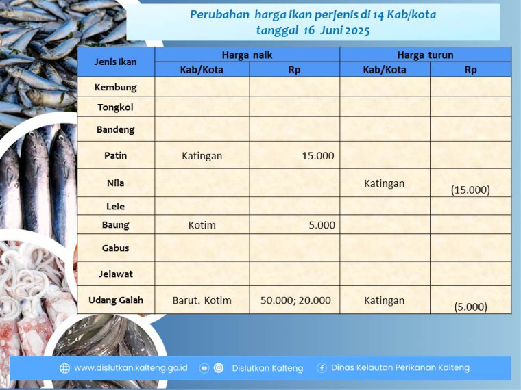 Gambar Info harga ikan tanggal 16 Juni 2025 dengan perubahan harga ikan terjadi di Kabupaten Katingan, Kotawaringin Timur dan Barito Utara