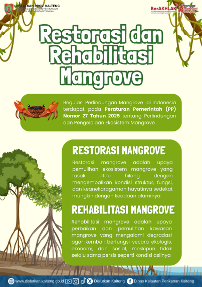 Gambar Restorasi dan Rehabilitasi Mangrove