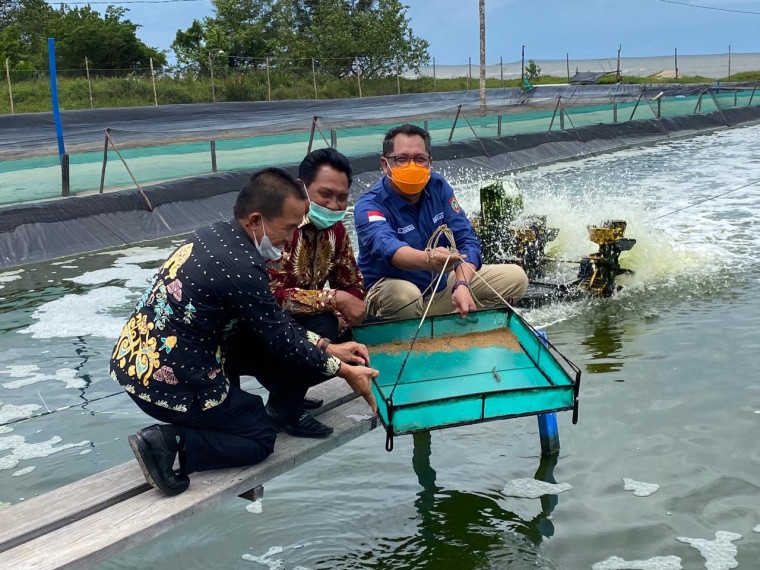 Gambar Wakapolda Kalteng dan Kadislutkan Prov Kalteng Optimis Tambak Udang Vaname Menjadi Komoditi Andalan Kalimantan Tengah