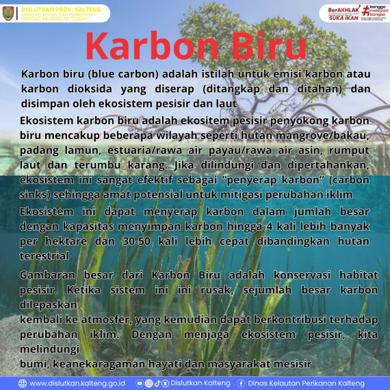 Gambar Peran penting laut dalam melawan perubahan iklim