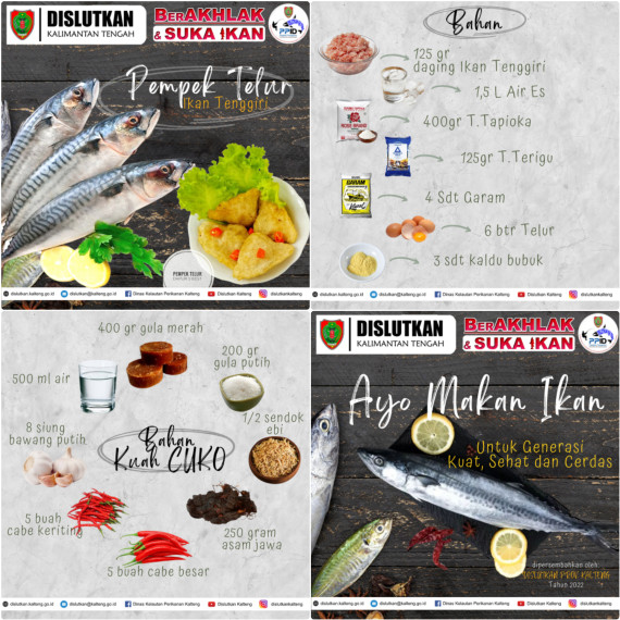 Gambar Gak Suka Makan Ikan..Yuk coba Pempek Telur Ikan Tenggiri