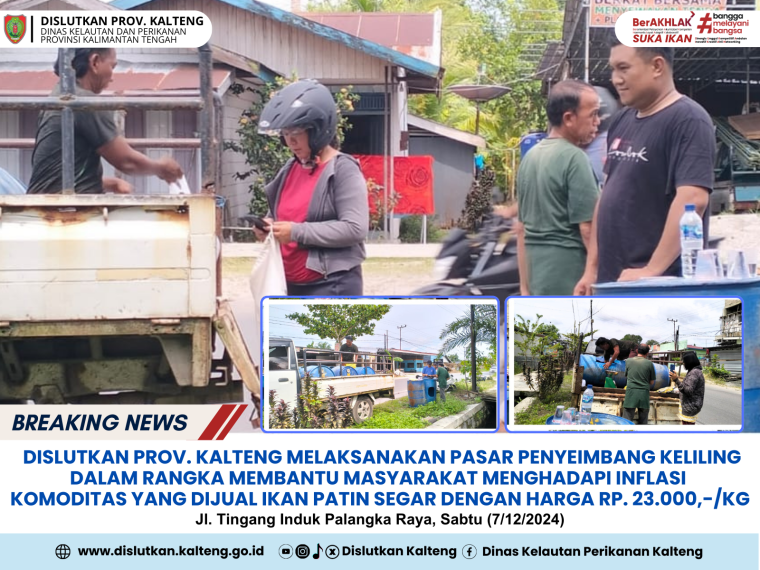Gambar Dislutkan Prov. Kalteng melaksanakan Pasar Penyeimbang dalam rangka membantu masyarakat  menghadapi inflasi, lokasi bertempat di Depan Perumahan Tingang Mandiri Indah Jl. Tingang Induk, dengan komoditas ikan patin. (Sabtu, 7 Des 2024)