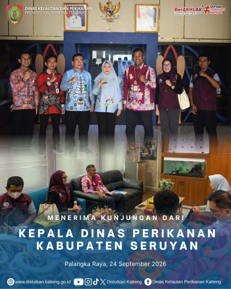 Gambar Header