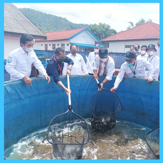 Gambar Kadislutkan  Prov.  Kalteng  Hadiri Kegiatan Kunker Dirjen PB-KKP RI ke BPBAT Mandiangin