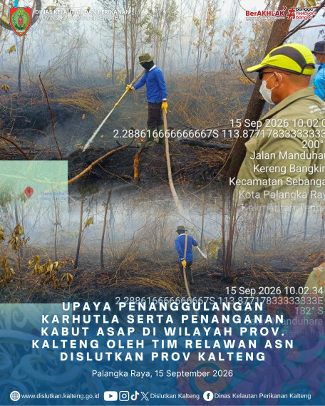 Gambar Header