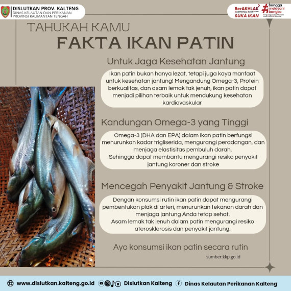 Gambar Fakta Ikan Patin