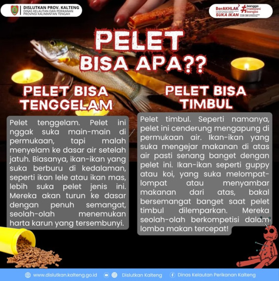 Gambar Pelet (pakan ikan)