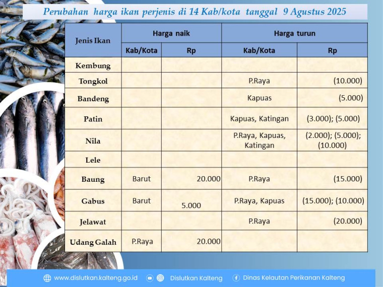 Gambar Info harga ikan tanggal 9 Agustus 2025 dengan perubahan harga ikan terjadi di KAbupaten Kapuas, Barito Utara, Katingan dan Kota Palangka Raya.