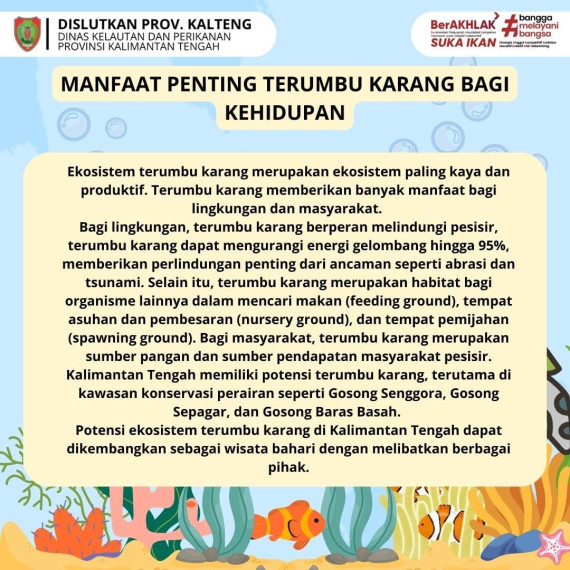 Gambar Terumbu Karang Berperan Penting Menjaga Keseimbangan Ekologi dan Ekonomi