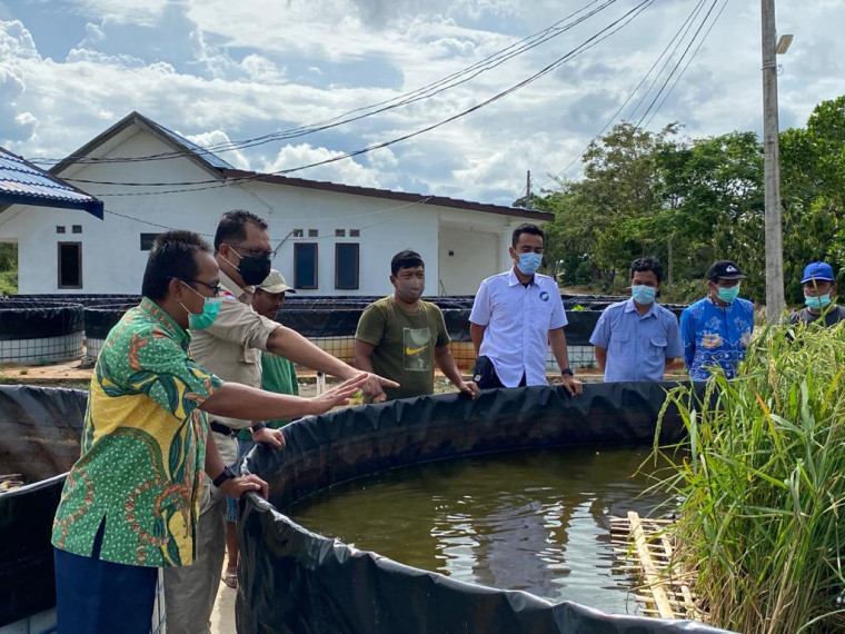 Gambar Kunjungan ke Instalasi Budidaya Ikan Lahan Gambut (IBILAGA) di desa Garung Kabupaten Pulang Pisau
