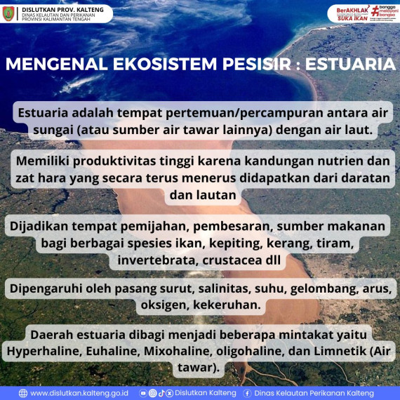 Gambar Ekosistem Pesisir : Estuaria