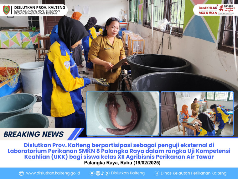Gambar Dinas Kelautan dan Perikanan Provinsi Kalimantan Tengah sebagai penguji eksternal di Laboratorium Perikanan SMKN 8 Palangka Raya dalam rangka Uji Kompetensi Keahlian (UKK) bagi siswa kelas XII Agribisnis Perikanan Air Tawar (APAT).
