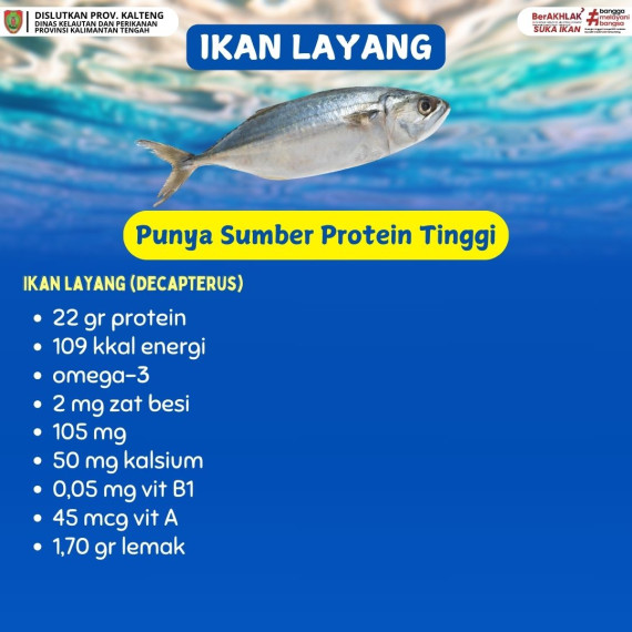 Gambar Ikan punya sumber protein yang tinggi yaitu ikan layang