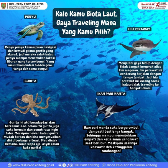 Gambar Kalo Kamu Biota Laut.... Gaya Traveling Mana Yang Kamu Pilih?