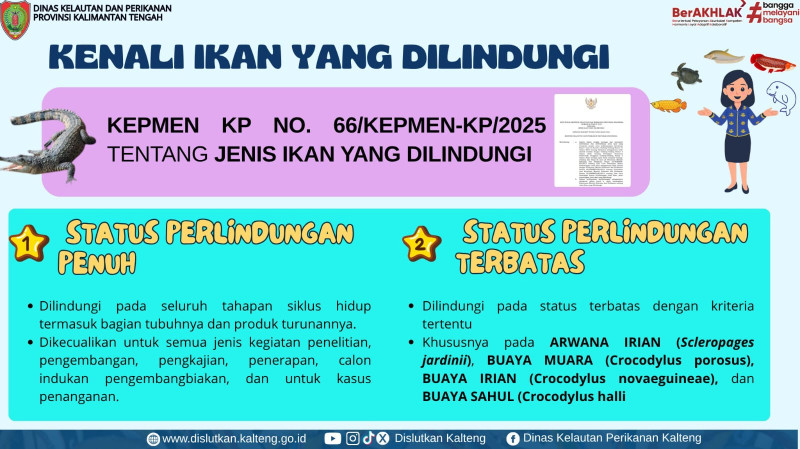 Gambar Jenis merupakan ikan yang dilindungi dan wajib kita jaga keberadaannya