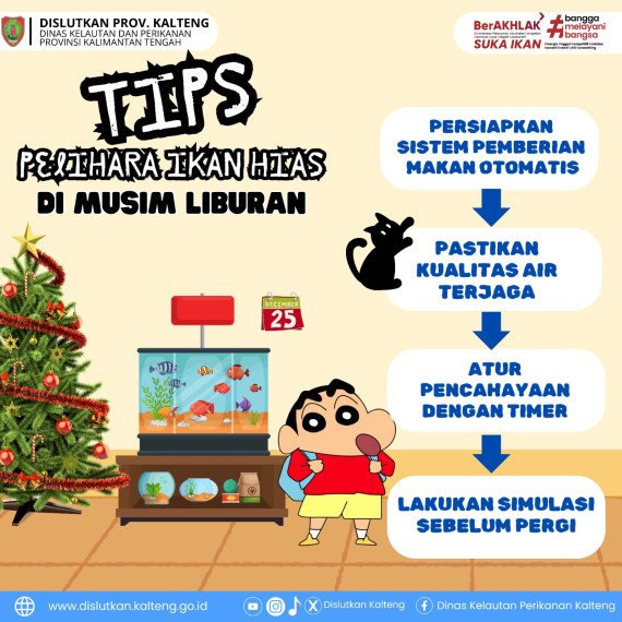 Gambar Tips ampuh biar ikan hias kamu tetap bahagia, sehat, dan nggak ngambek meski ditinggal sementara.