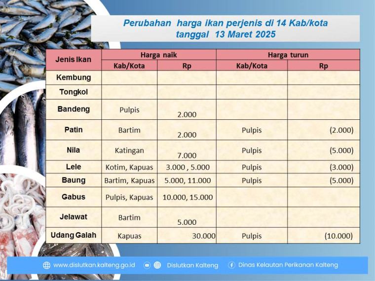 Gambar Info harga ikan tanggal 13 Maret 2025