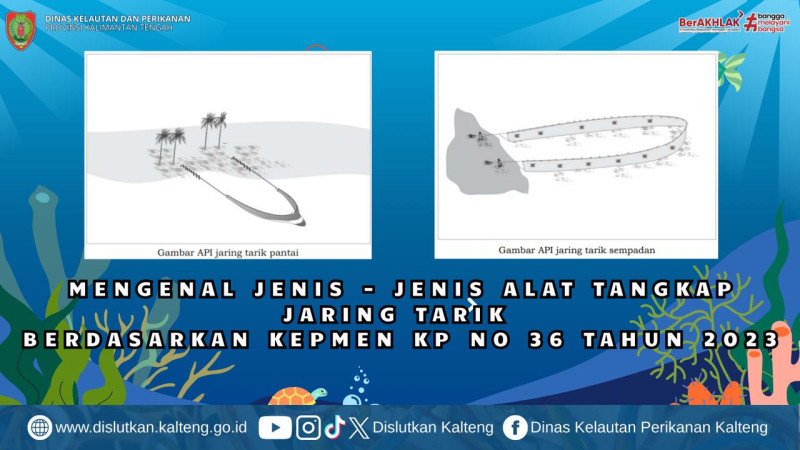 Gambar Jenis jenis Alat Tangkap Jaring Tarik