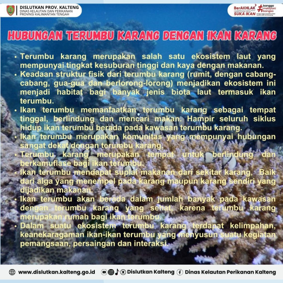 Gambar Hubungan antara terumbu karang dengan ikan terumbu?