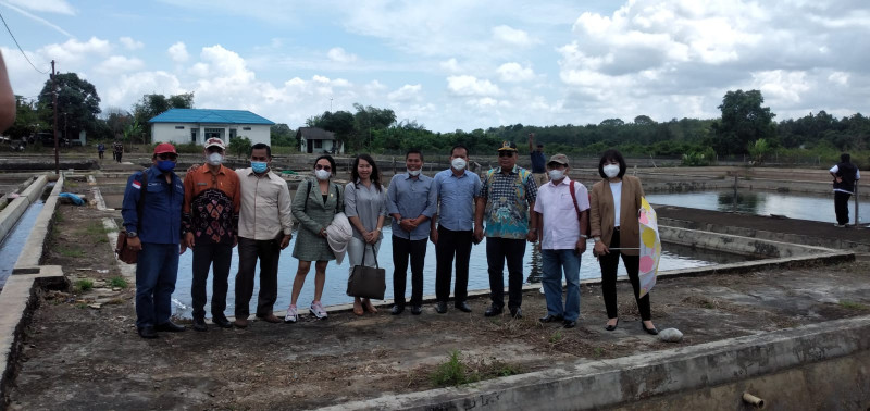 Gambar Dislutkan Dampingi Komisi II DPRD Prov. Kalteng Kunjungi BBII Kab. Banjar, Kalsel