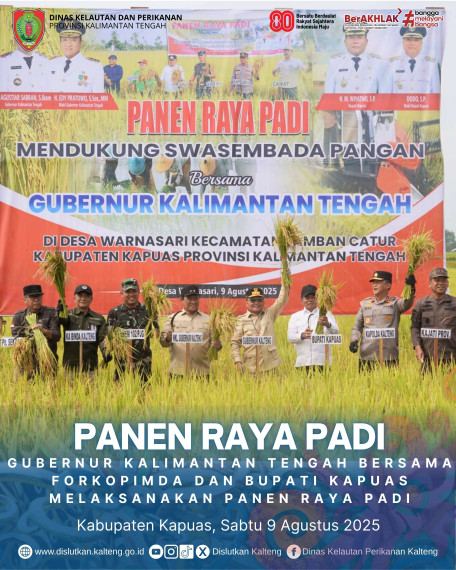 Gambar PANEN RAYA PADI