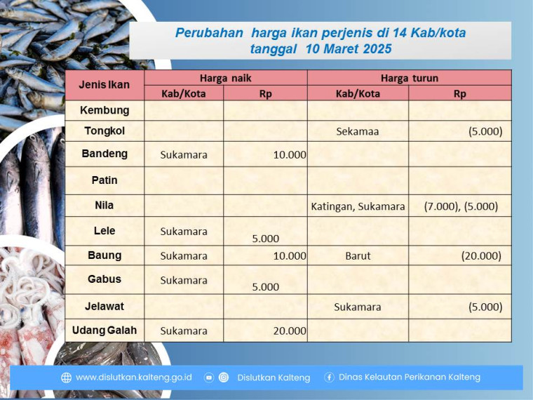 Gambar Info harga ikan tanggal 10 Maret 2025 dengan perubahan harga ikan terjadi di Kabupaten Sukamara, Katingan dan Barito Utara.