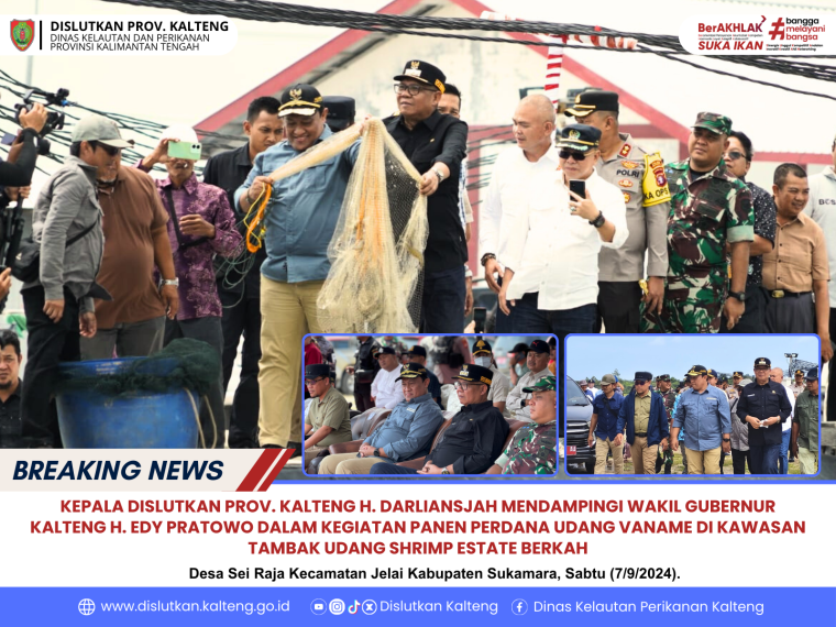Gambar Kepala Dislutkan Prov. Kalteng H. Darliansjah mendampingi Wakil Gubernur Kalteng H. Edy Pratowo dalam kegiatan "Panen Perdana Udang Vaname" di kawasan  Tambak Udang Shrimp Estate Berkat, Desa Sei Raja, Kab. Sukamara