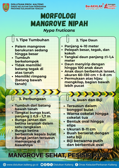 Gambar Yuk kenali Mangrove Nipah