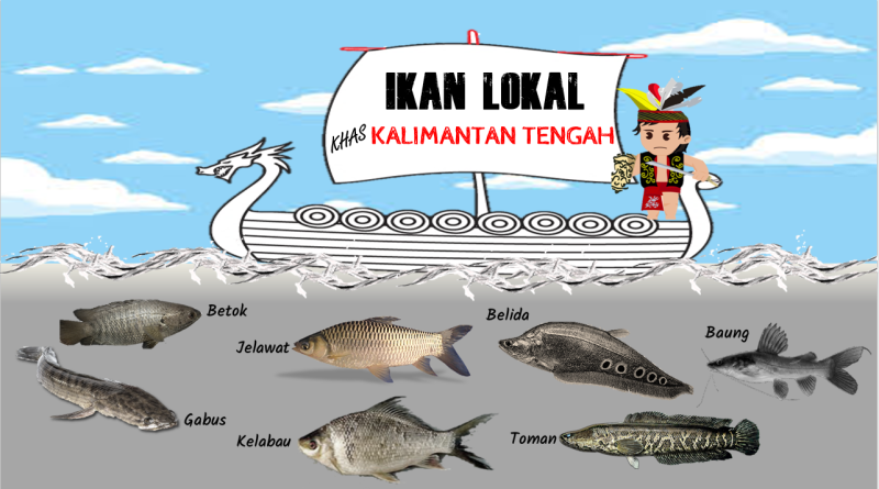 Gambar Pengembangan Ikan Lokal Khas Kalimantan Tengah