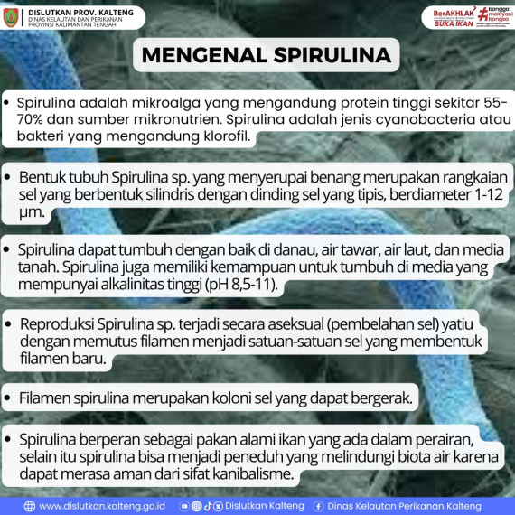 Gambar Spirulina