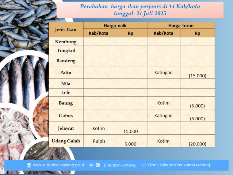 Gambar Info harga ikan tanggal 21 Juli 2025 dengan perubahan terjadi di Kabupaten Barito Utara dan Pulang Pisau.