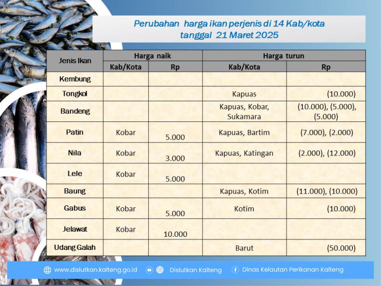 Gambar Info harga ikan tanggal 21 Maret 2025 dengan perubahan harga ikan terjadi di Kabupaten Kapuas, Kotawaringin Timur, Kotawaringin Barat, Barito Timur, Barito Utara, Katingan dan Sukamara.