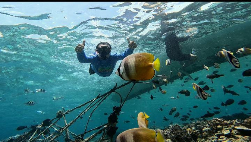 Gambar Dislutkan Prov. Kalteng Kaji Tiru Pengelolaan Kawasan Konservasi Ke Nusa Tenggara Barat