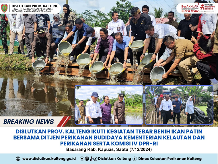 Gambar Dislutkan Prov. Kalteng Ikuti Kegiatan Tebar Benih Ikan Patin bersama Ditjen Perikanan Budidaya Kementerian Kelautan dan Perikanan serta Komisi IV DPR-RI bertempat di Desa Basarang Kabupaten Kapuas, Sabtu (7/12/2024)